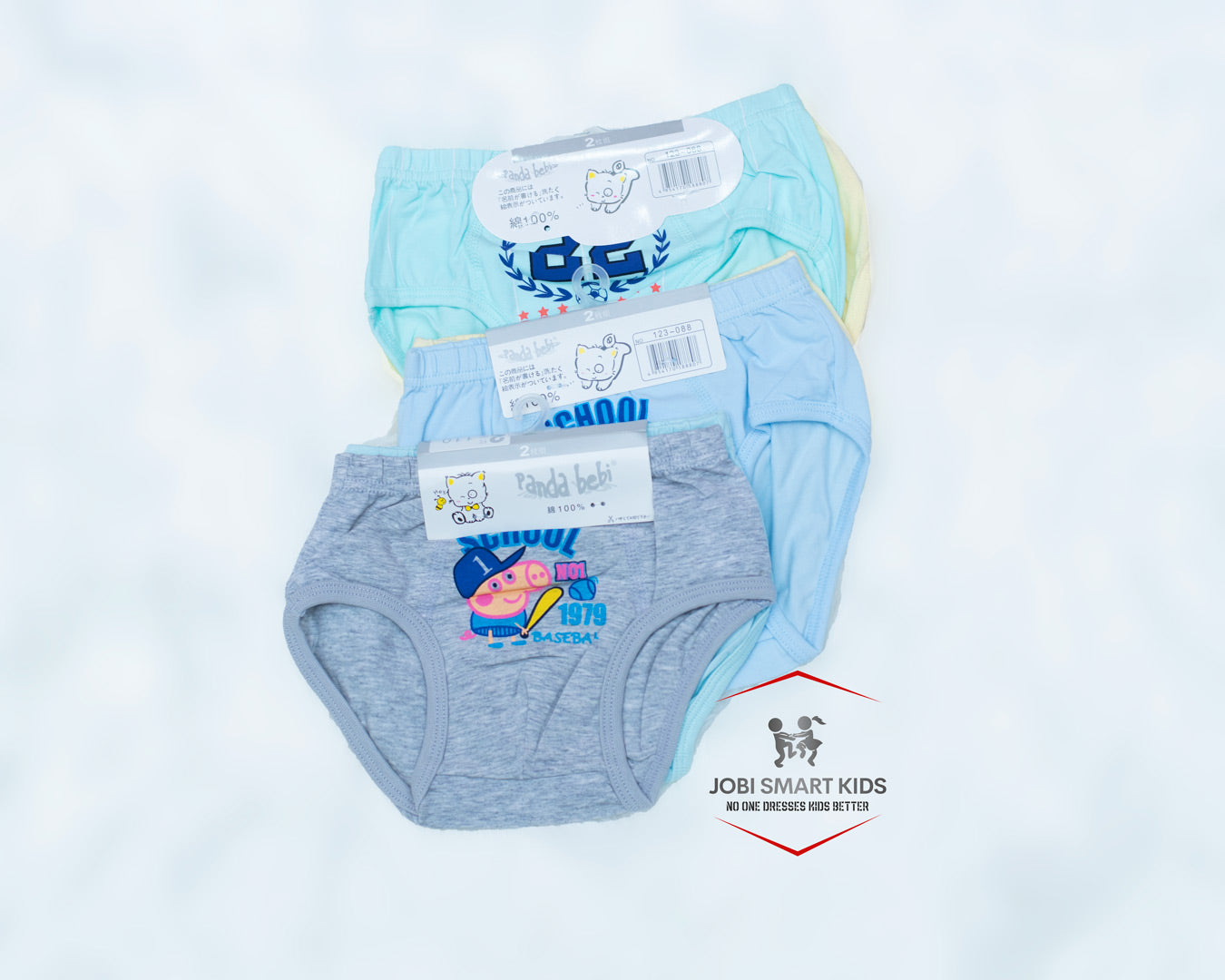 Assorted pairs of boys brief panties