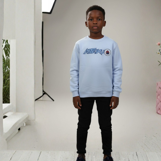 Boys sweat shirt with fleece lining