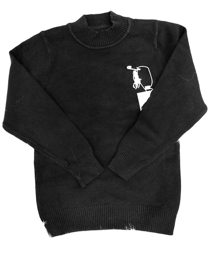 Polo Pullover sweater