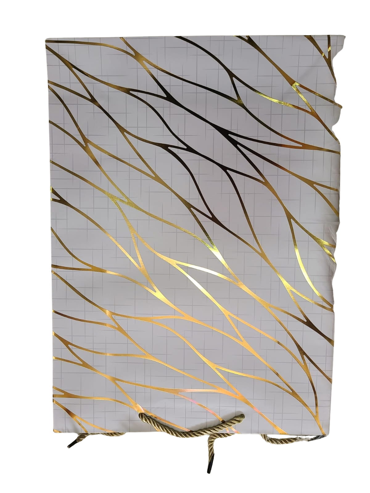 Large Eco-Friendly Gift Bags | Brown Paper | Multiple Sizes & Colors