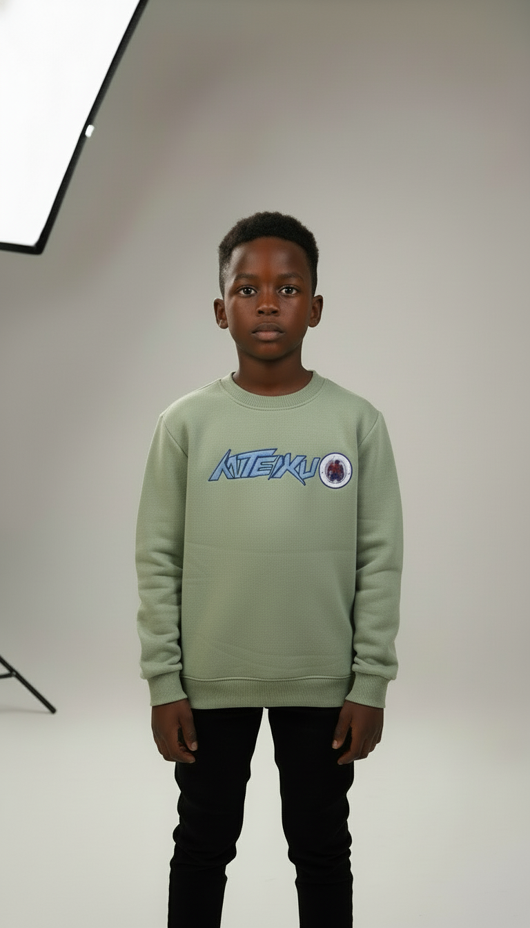 Boys sweat shirt with fleece lining