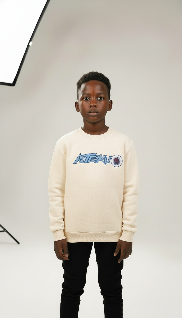 Boys sweat shirt with fleece lining