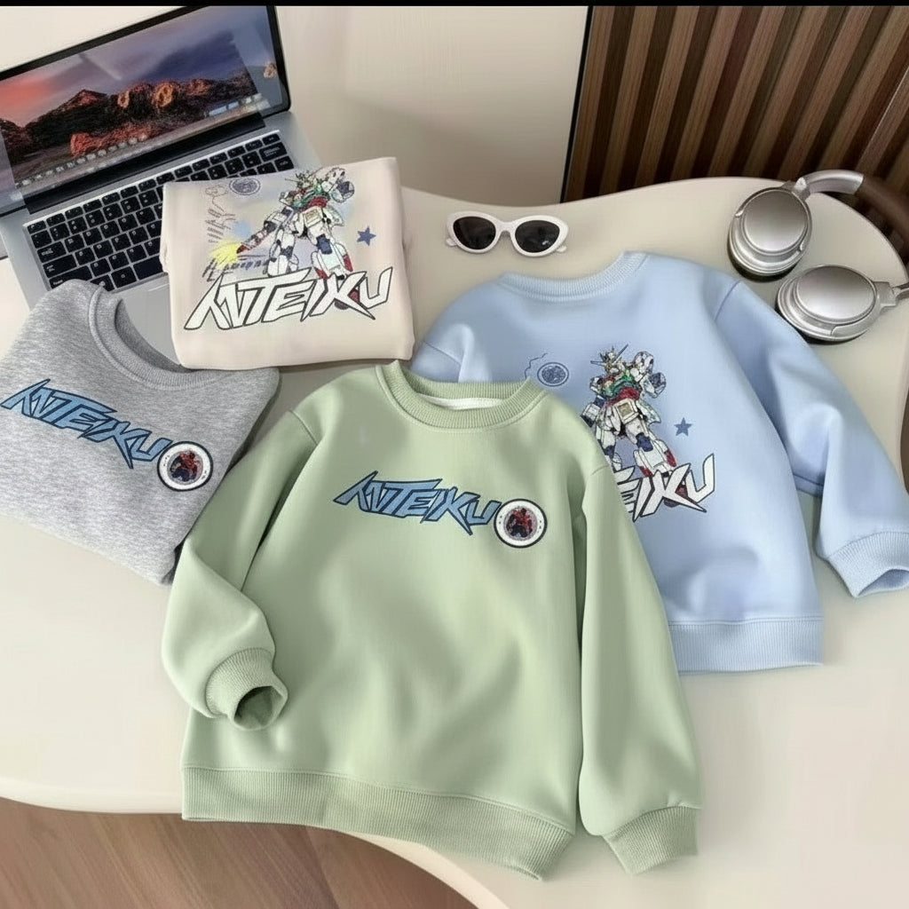 Boys sweat shirt with fleece lining